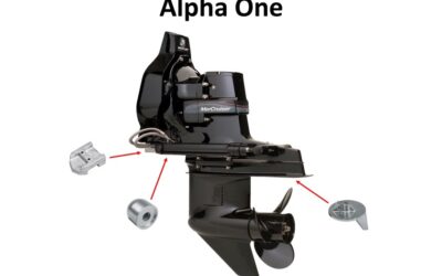 Alpha 1 Vs Alpha 2: Which Is Better For You?