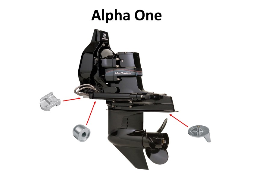 Alpha 1 Vs Alpha 2: Which Is Better For You?