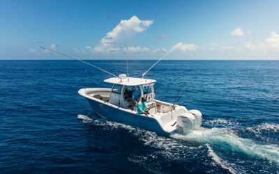 4 Stroke Vs 4 Cycle Engine: No Difference (Marine Outboard Guide)
