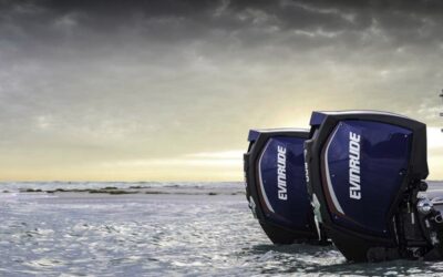 Where to Buy Evinrude Outboard Parts (Online & Local Options)
